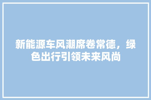 新能源车风潮席卷常德，绿色出行引领未来风尚