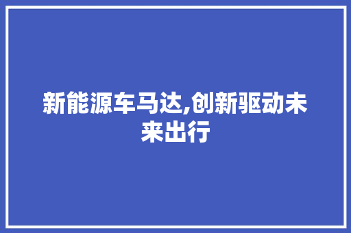 新能源车马达,创新驱动未来出行 车型评测