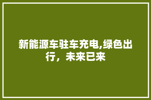 新能源车驻车充电,绿色出行，未来已来