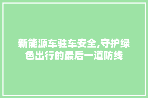 新能源车驻车安全,守护绿色出行的最后一道防线