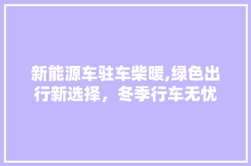 新能源车驻车柴暖,绿色出行新选择，冬季行车无忧 汽车轮胎