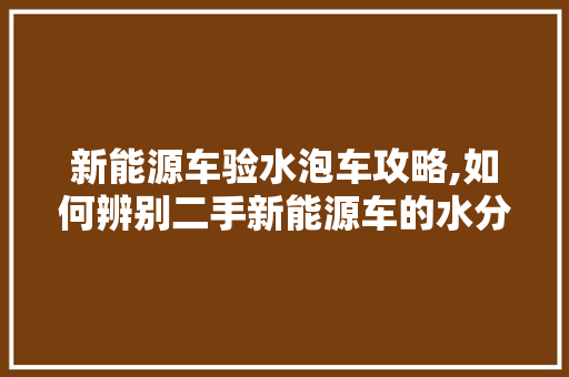 新能源车验水泡车攻略,如何辨别二手新能源车的水分