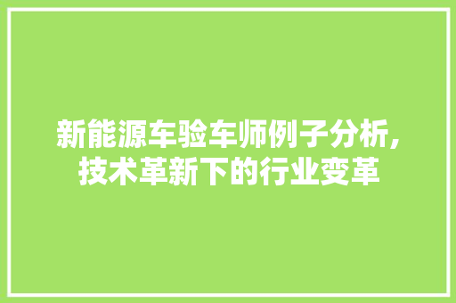 新能源车验车师例子分析,技术革新下的行业变革 智能驾驶