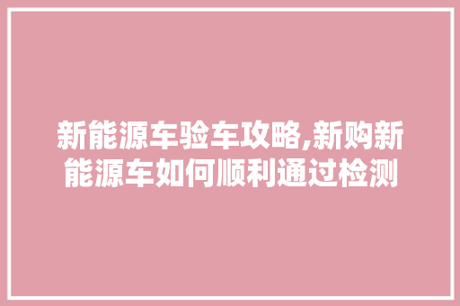 新能源车验车攻略,新购新能源车如何顺利通过检测 车型评测