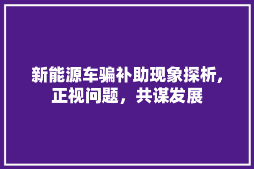 新能源车骗补助现象探析,正视问题，共谋发展 新车资讯