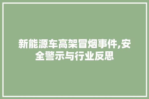 新能源车高架冒烟事件,安全警示与行业反思 车型评测