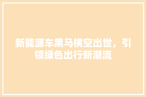 新能源车黑马横空出世，引领绿色出行新潮流 车载导航