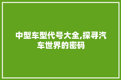 中型车型代号大全,探寻汽车世界的密码