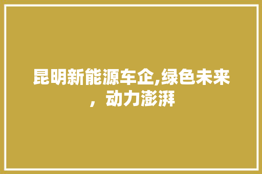 昆明新能源车企,绿色未来，动力澎湃 车载导航