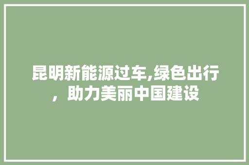 昆明新能源过车,绿色出行，助力美丽中国建设