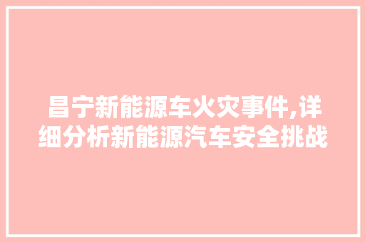 昌宁新能源车火灾事件,详细分析新能源汽车安全挑战