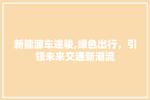 新能源车途骏,绿色出行，引领未来交通新潮流 车载导航