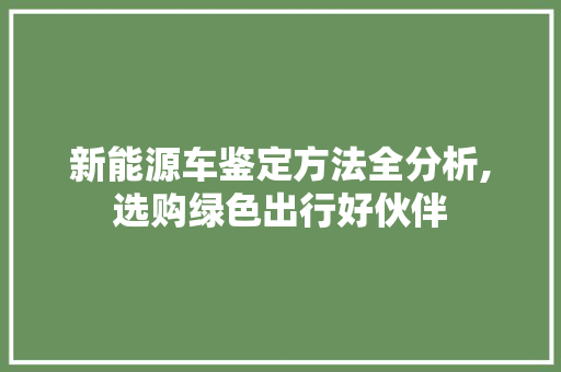 新能源车鉴定方法全分析,选购绿色出行好伙伴