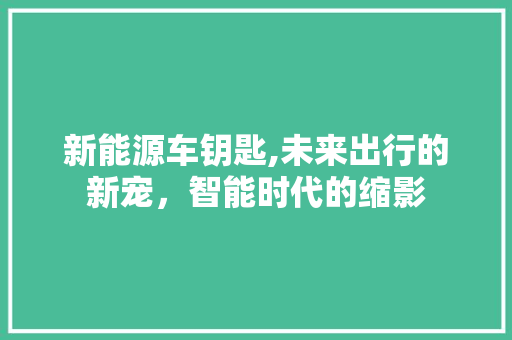 新能源车钥匙,未来出行的新宠，智能时代的缩影