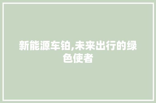 新能源车铂,未来出行的绿色使者 车型评测