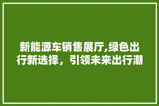 新能源车销售展厅,绿色出行新选择，引领未来出行潮流