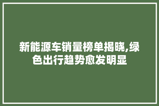 新能源车销量榜单揭晓,绿色出行趋势愈发明显 汽车轮胎