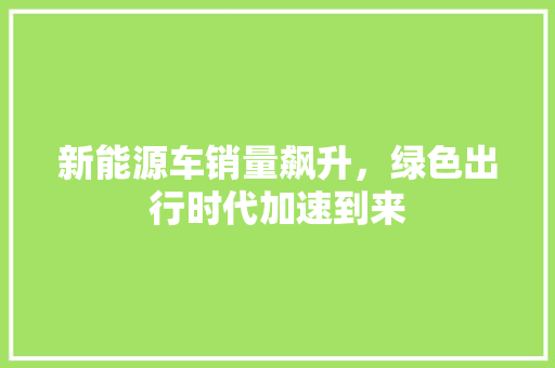 新能源车销量飙升，绿色出行时代加速到来 车载导航