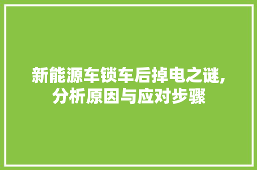 新能源车锁车后掉电之谜,分析原因与应对步骤