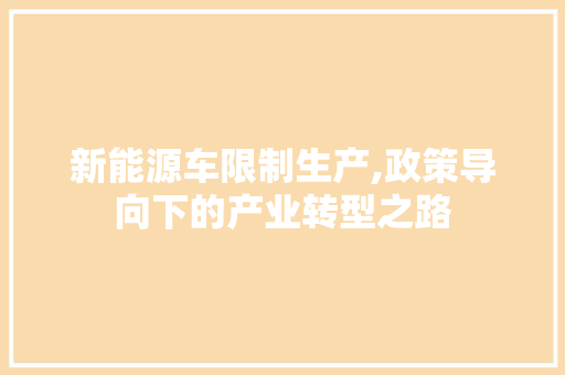 新能源车限制生产,政策导向下的产业转型之路