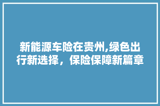 新能源车险在贵州,绿色出行新选择，保险保障新篇章 车型评测