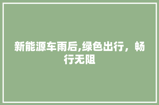 新能源车雨后,绿色出行，畅行无阻 汽车保养