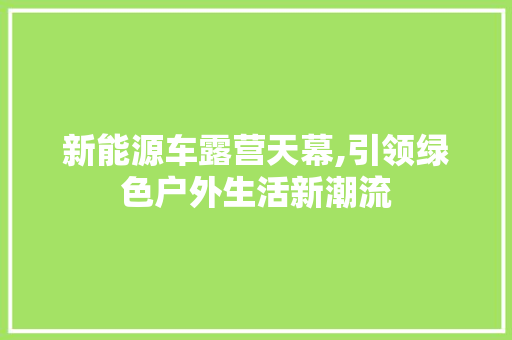 新能源车露营天幕,引领绿色户外生活新潮流