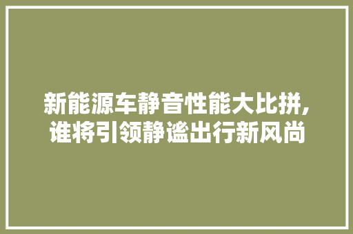 新能源车静音性能大比拼,谁将引领静谧出行新风尚