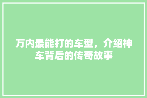万内最能打的车型，介绍神车背后的传奇故事