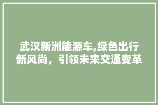 武汉新洲能源车,绿色出行新风尚，引领未来交通变革 混合动力车
