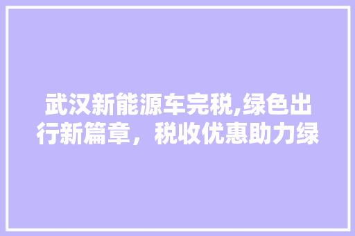 武汉新能源车完税,绿色出行新篇章，税收优惠助力绿色发展