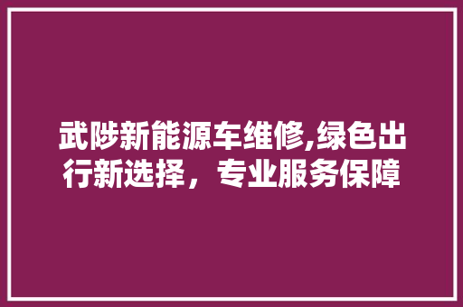 武陟新能源车维修,绿色出行新选择，专业服务保障 汽车配件