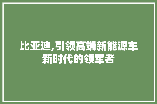 比亚迪,引领高端新能源车新时代的领军者 智能驾驶