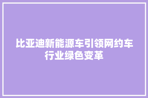比亚迪新能源车引领网约车行业绿色变革 新能源汽车