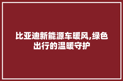 比亚迪新能源车暖风,绿色出行的温暖守护