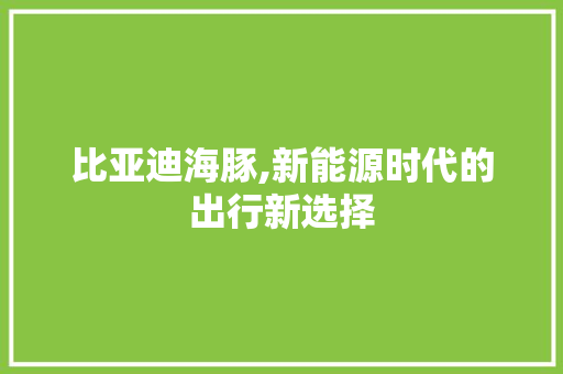 比亚迪海豚,新能源时代的出行新选择 汽车保养