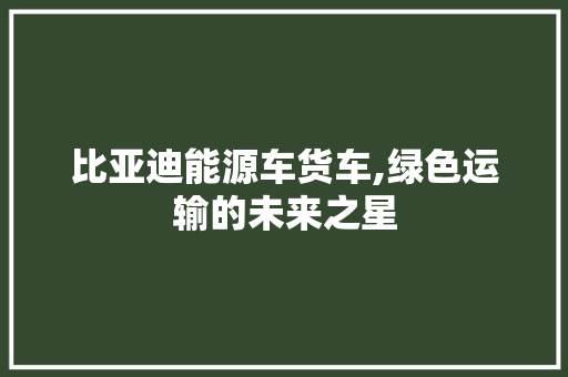 比亚迪能源车货车,绿色运输的未来之星