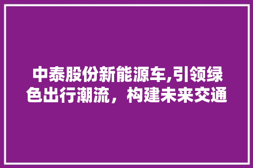 中泰股份新能源车,引领绿色出行潮流，构建未来交通蓝图 车载导航