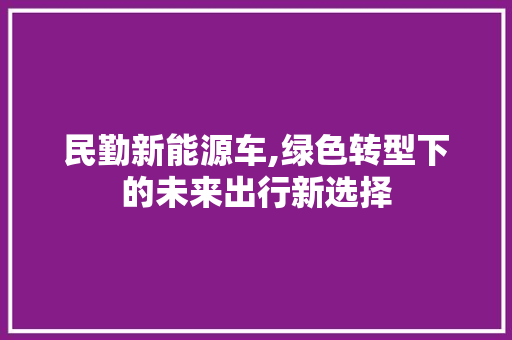 民勤新能源车,绿色转型下的未来出行新选择