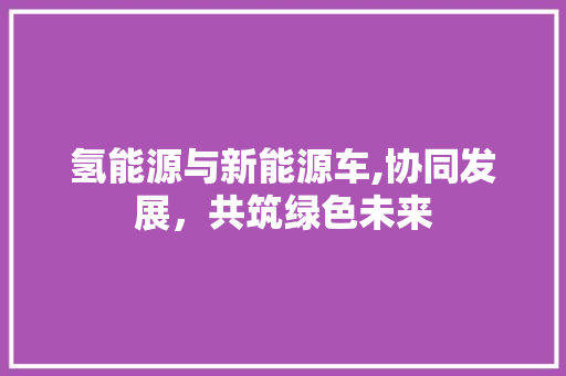 氢能源与新能源车,协同发展，共筑绿色未来 智能驾驶