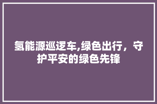 氢能源巡逻车,绿色出行，守护平安的绿色先锋 新车资讯