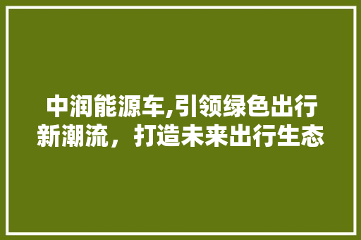 中润能源车,引领绿色出行新潮流，打造未来出行生态圈