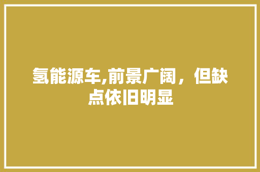 氢能源车,前景广阔，但缺点依旧明显 混合动力车