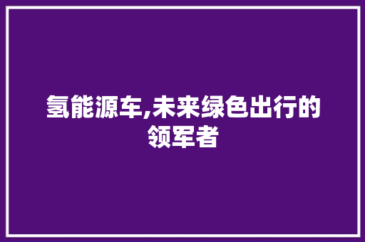 氢能源车,未来绿色出行的领军者