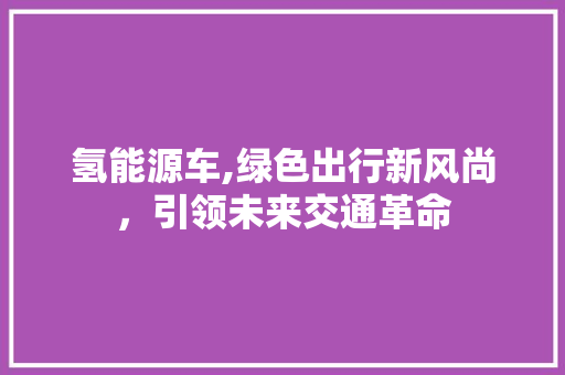 氢能源车,绿色出行新风尚，引领未来交通革命