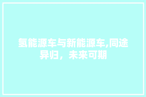 氢能源车与新能源车,同途异归，未来可期 车型评测