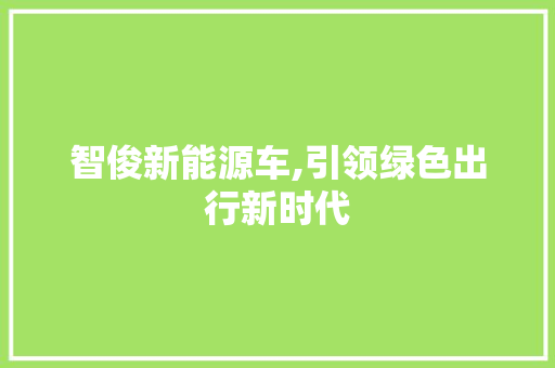 智俊新能源车,引领绿色出行新时代