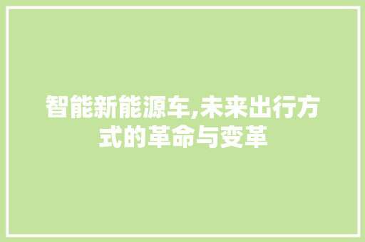 智能新能源车,未来出行方式的革命与变革