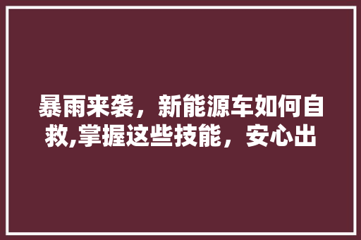 暴雨来袭，新能源车如何自救,掌握这些技能，安心出行 车载导航