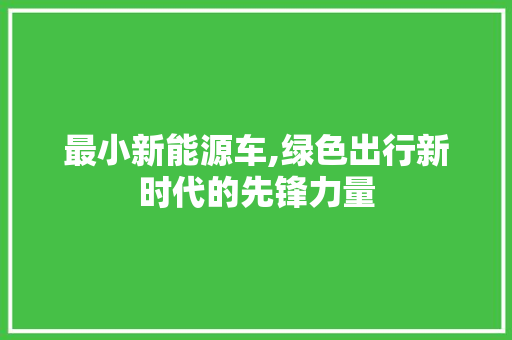 最小新能源车,绿色出行新时代的先锋力量 新车资讯